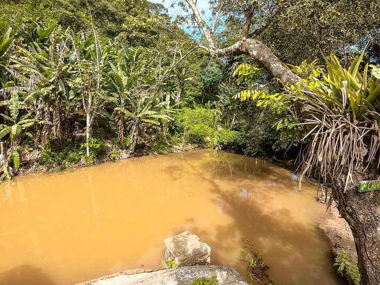 Saíra Recanto de Serra